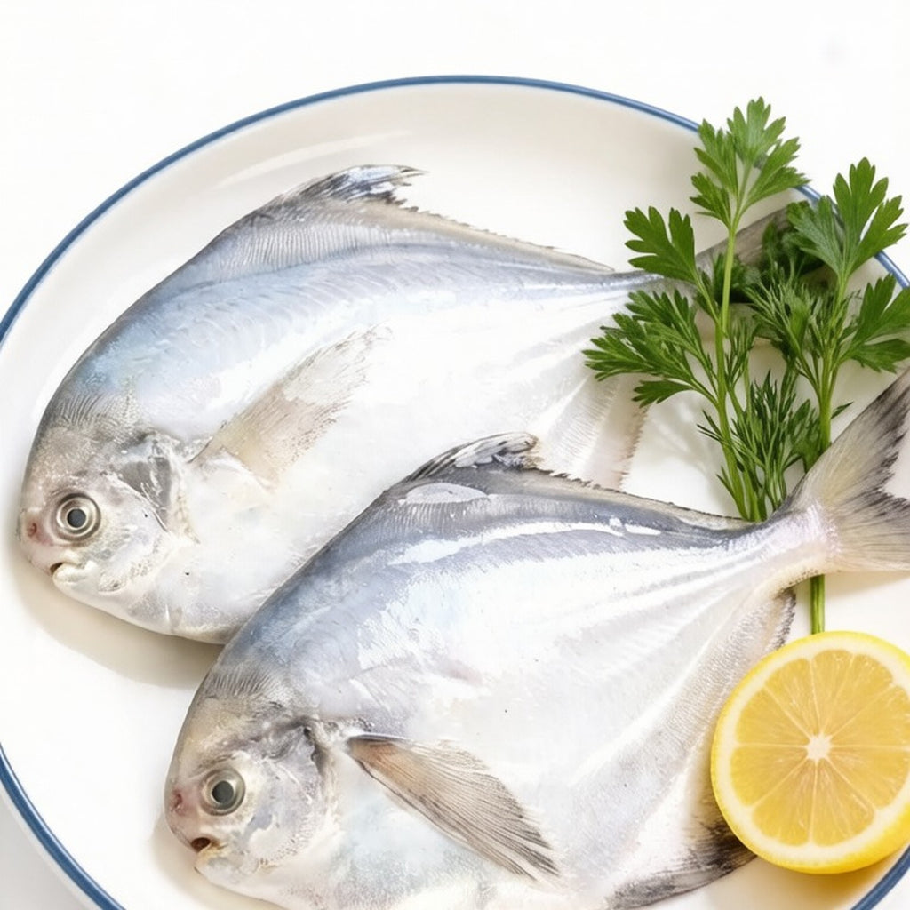 Silver pomfret with its flat diamond-shaped body on crushed ice