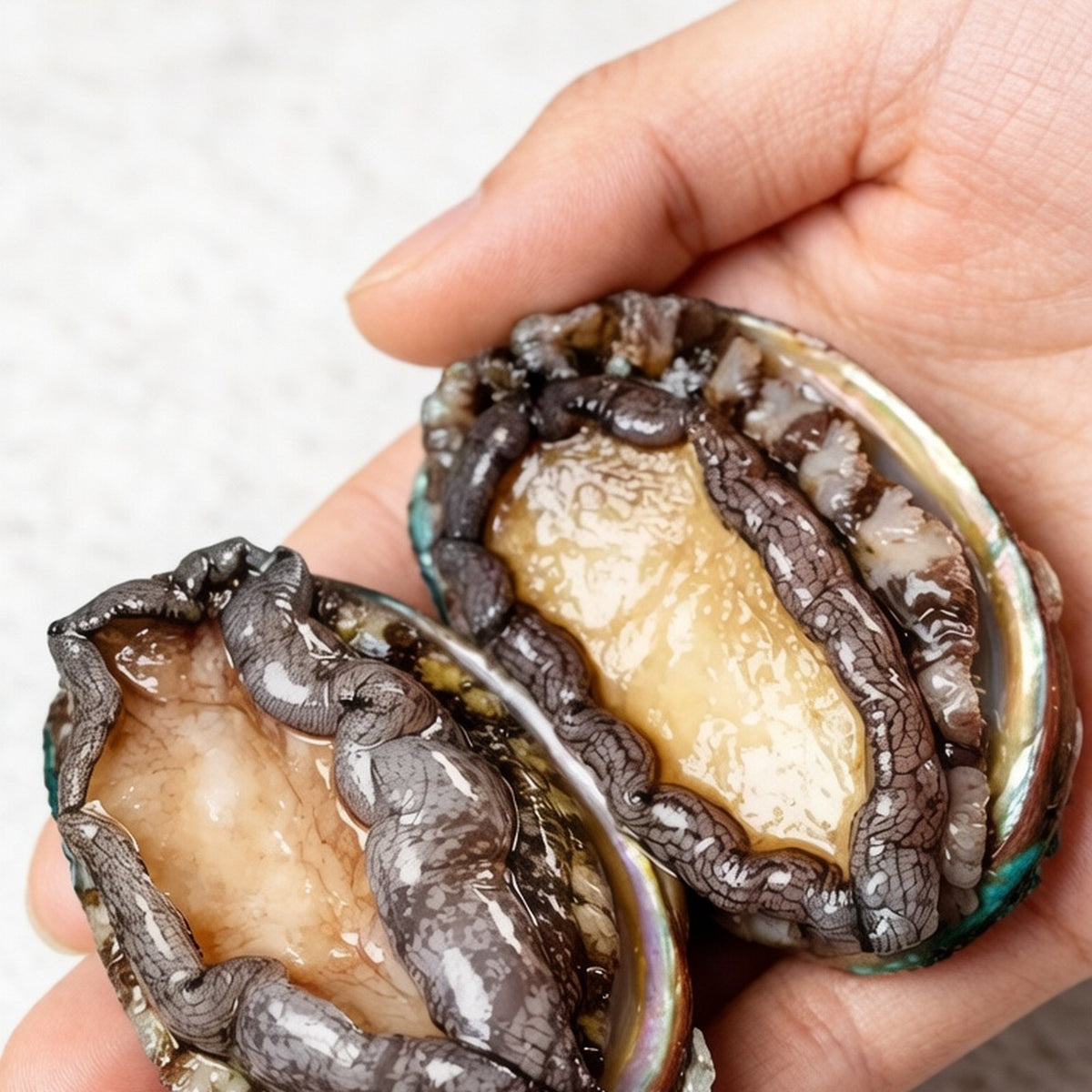 Whole abalone in the shell with a plump golden-brown muscle