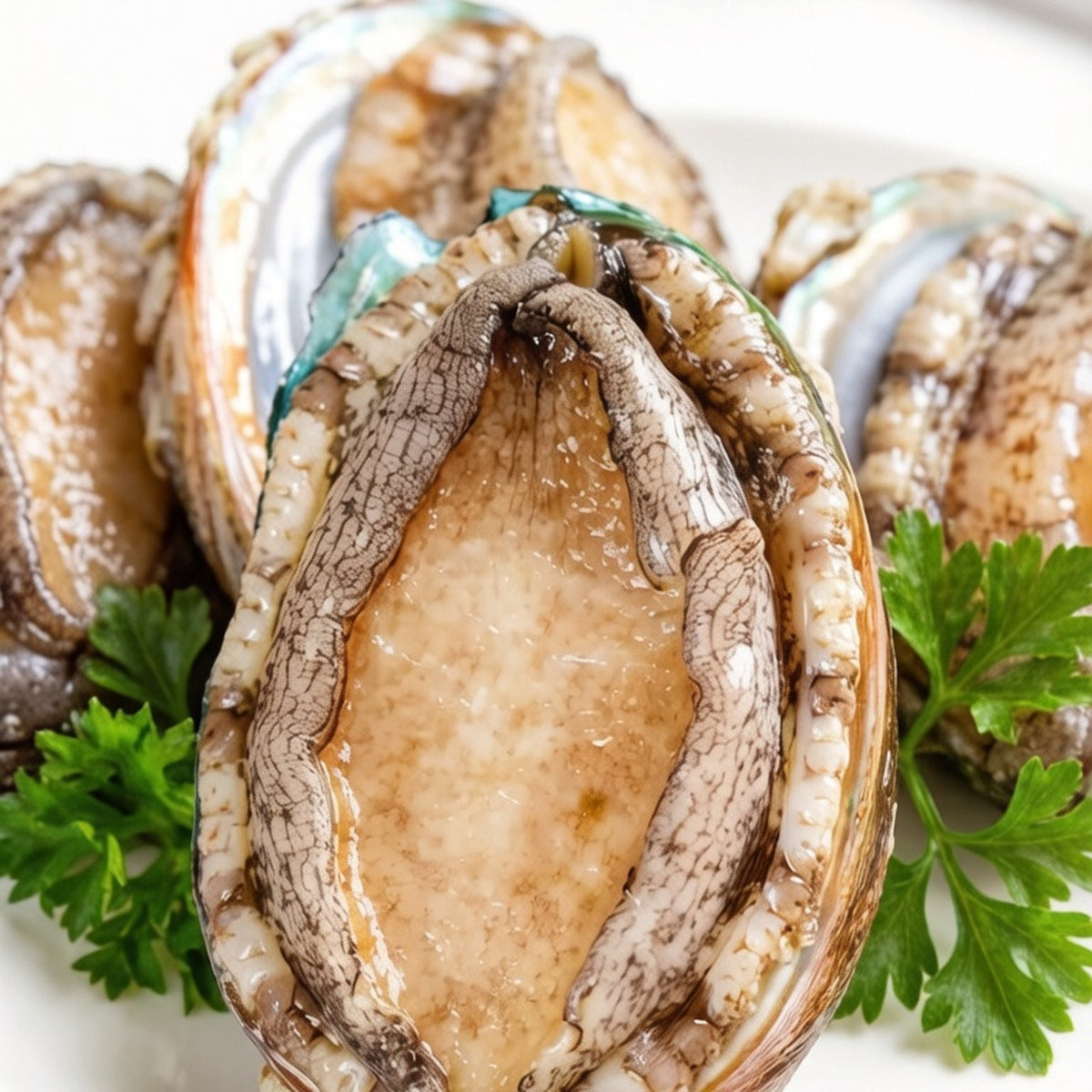 Whole abalone in the shell with a plump golden-brown muscle